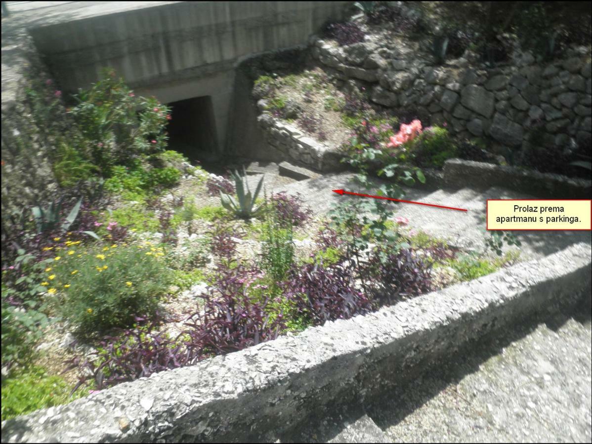 Apartman Ivan ミミツェ エクステリア 写真
